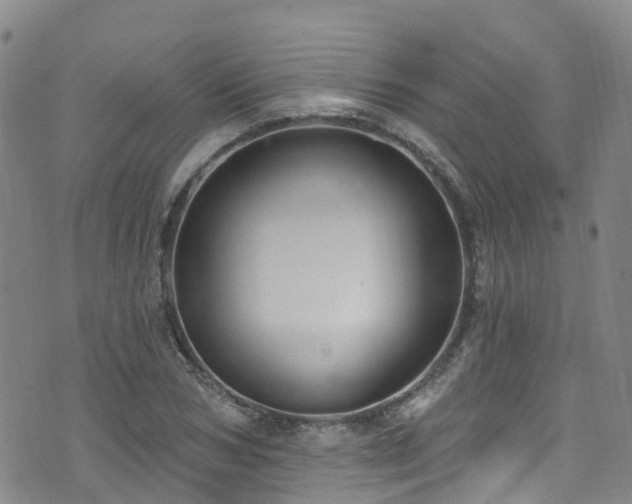 X0000074940978200609011111