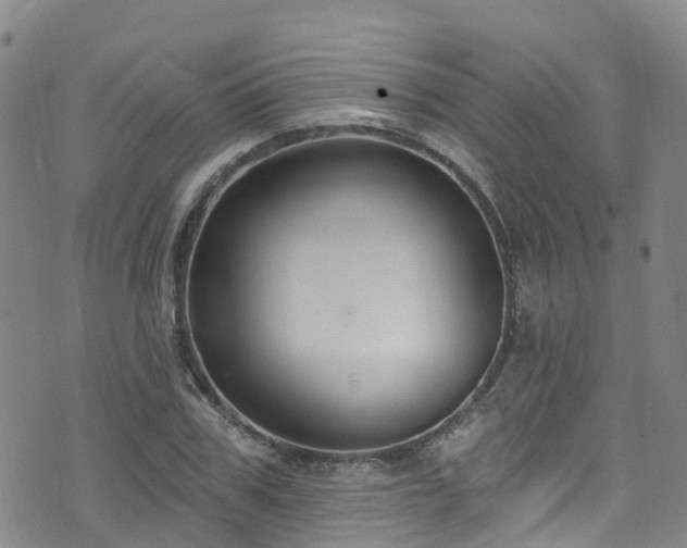 X0000074940979200609011111