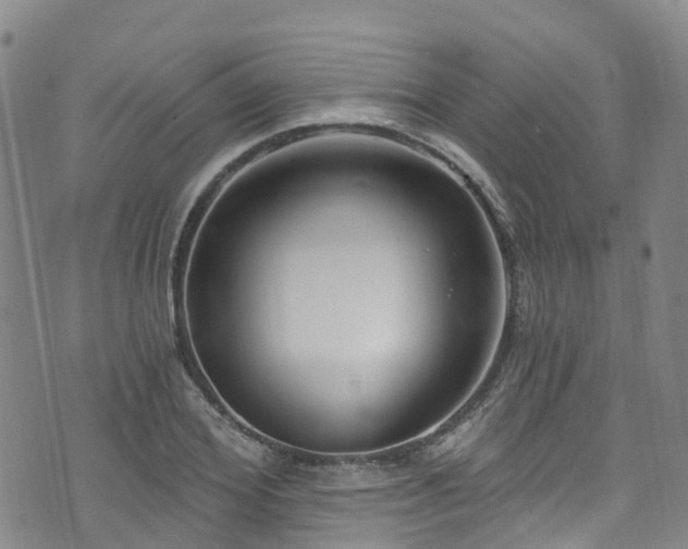 X0000074940980200609011111