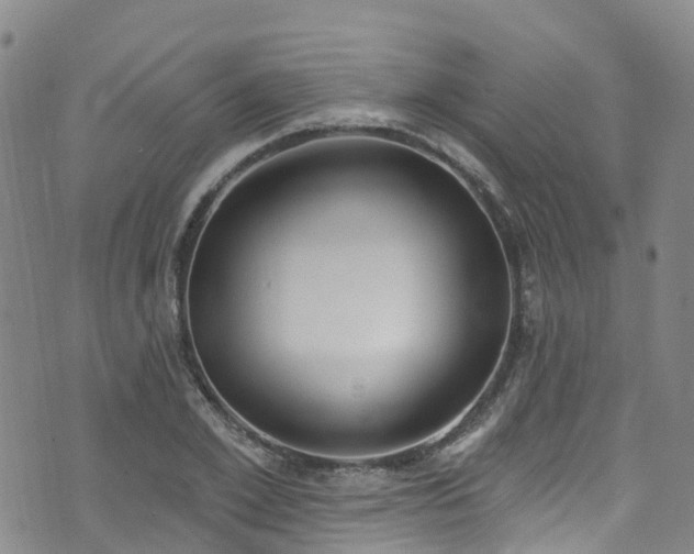 X0000074940981200609011111