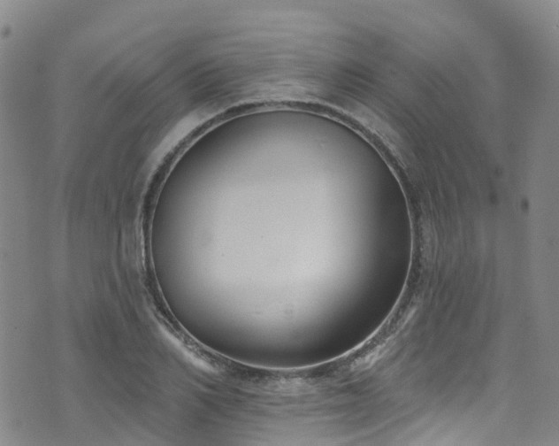 X0000074940982200609011111