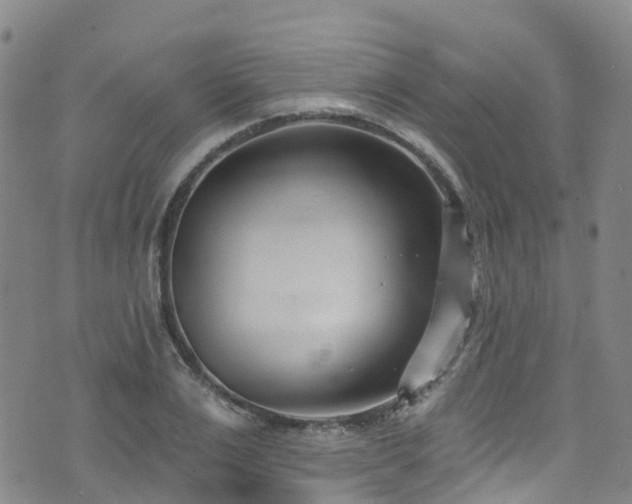 X0000074940983200609011111