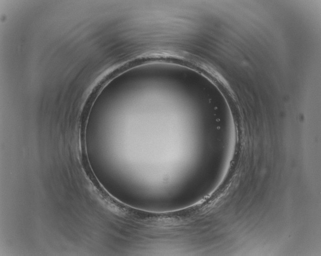 X0000074940984200609011111