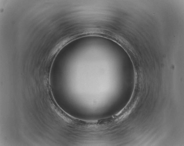 X0000074940985200609011111