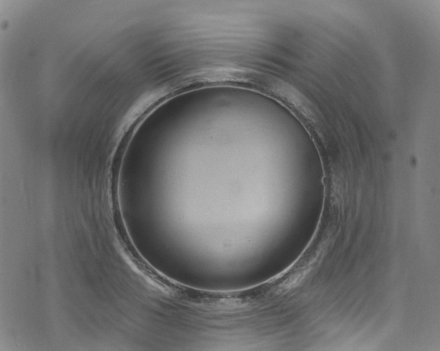 X0000074940986200609011111