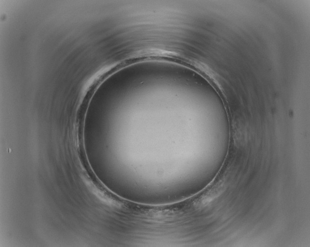 X0000074940987200609011111