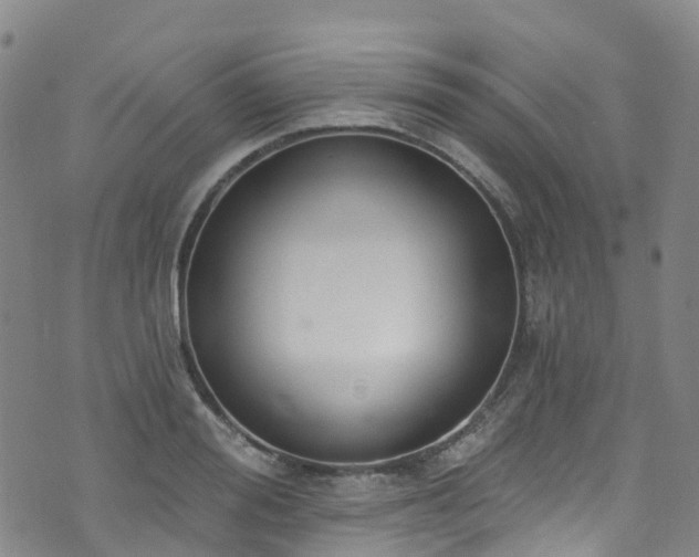 X0000074940988200609011111