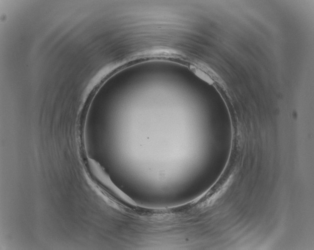 X0000074940989200609011111