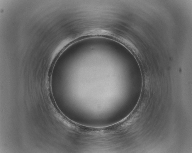 X0000074940990200609011111