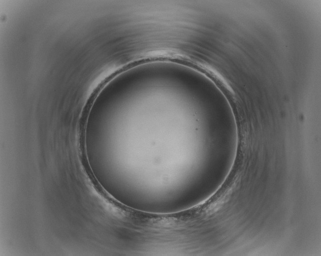 X0000074940991200609011111