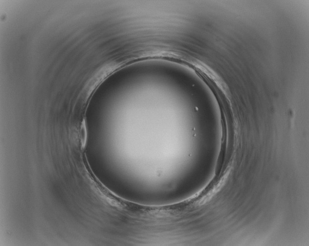 X0000074940993200609011111