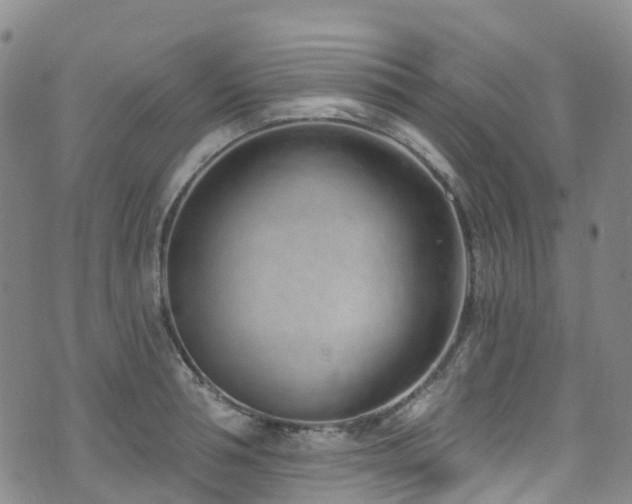 X0000074940994200609011111