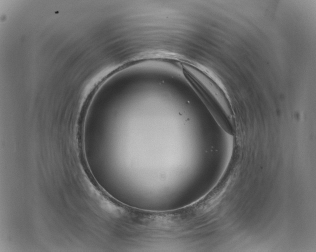 X0000074940995200609011111