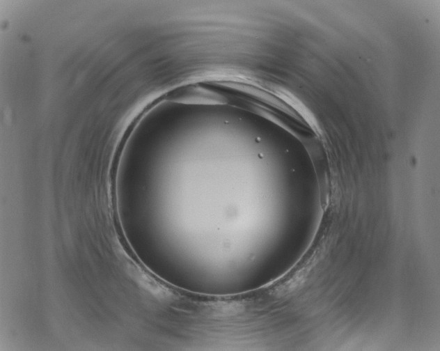 X0000074940996200609011111