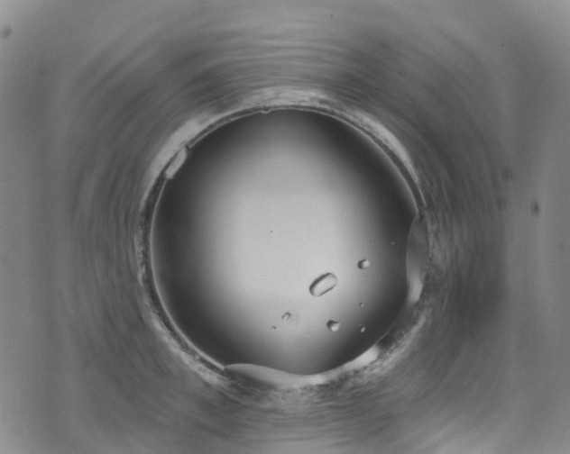 X0000074940997200609011111