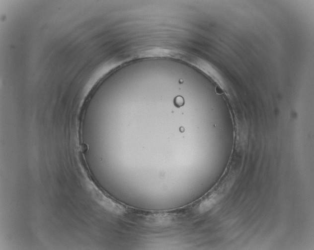 X0000074941000200609011111