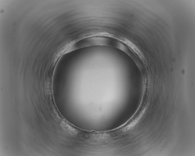 X0000074941001200609011111