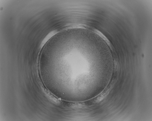 X0000074941002200609011111