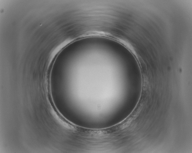 X0000074941003200609011111