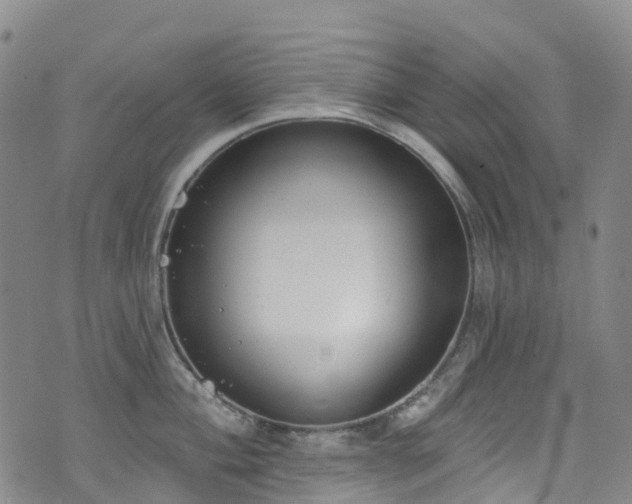 X0000074941004200609011111