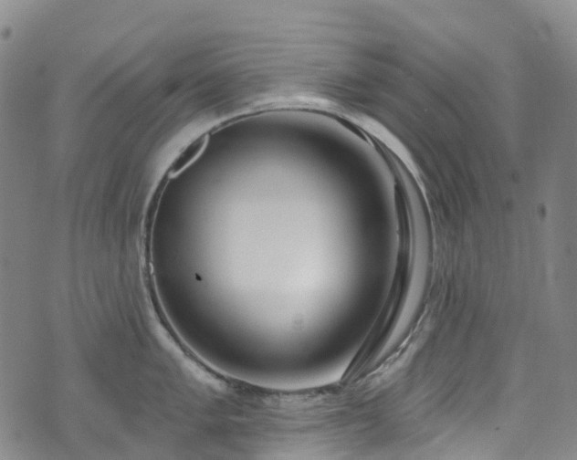 X0000074941005200609011111