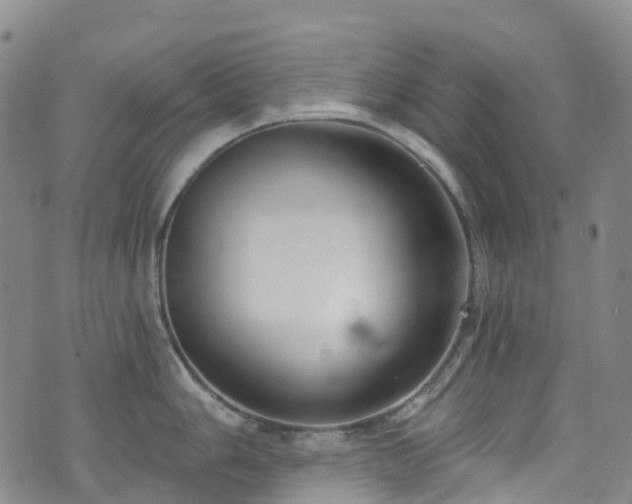 X0000074941006200609011111