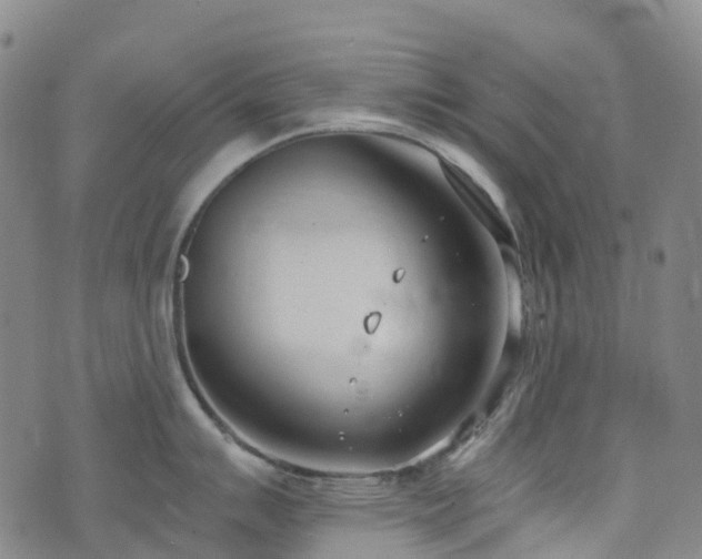 X0000074941007200609011111