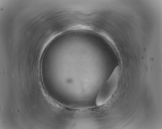 X0000074941008200609011111