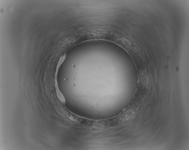 X0000074941009200609011110