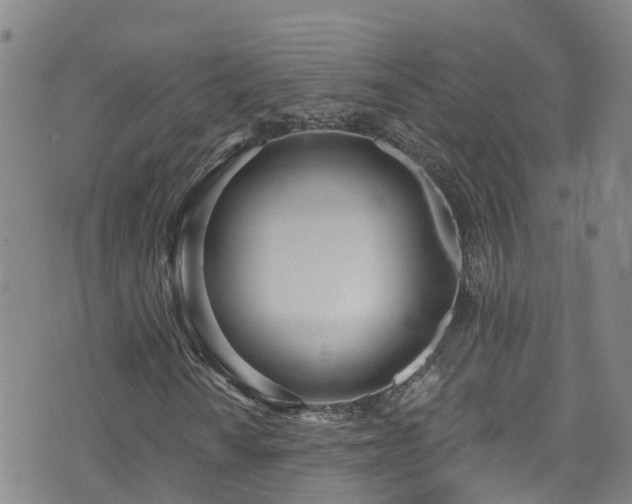 X0000074941010200609011110