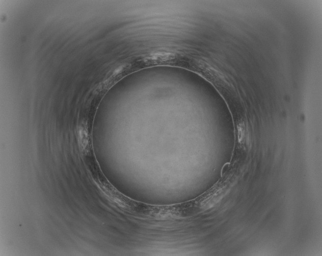 X0000074941011200609011110