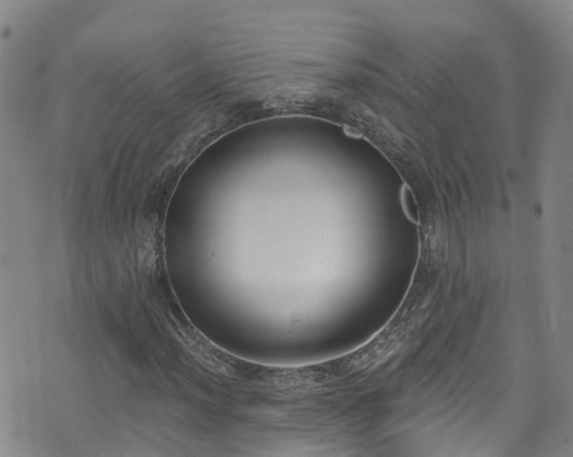 X0000074941012200609011110