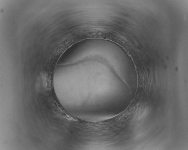 X0000074941013200609011110