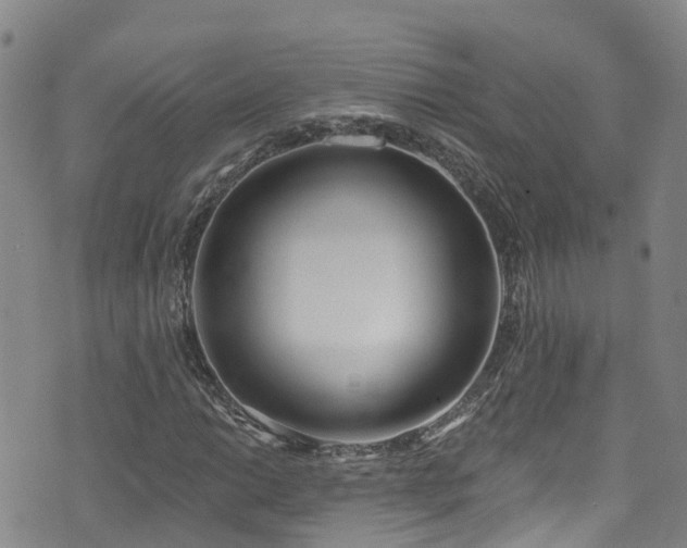 X0000074941014200609011110