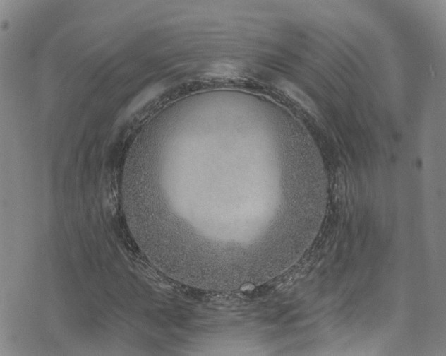 X0000074941015200609011110