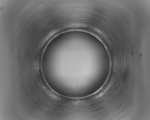 X0000074941017200609011110