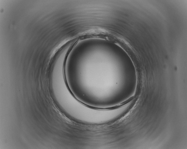 X0000074941018200609011110