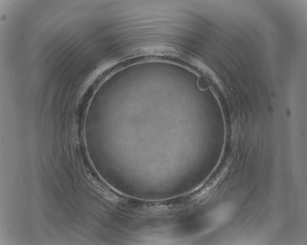 X0000074941019200609011110