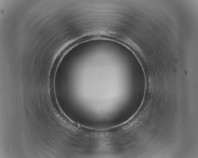 X0000074941020200609011110