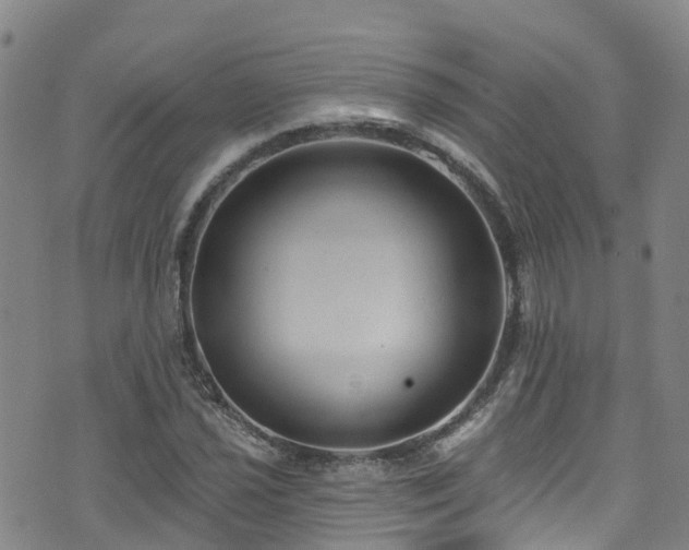 X0000074941021200609011110