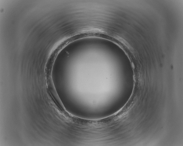 X0000074941022200609011110