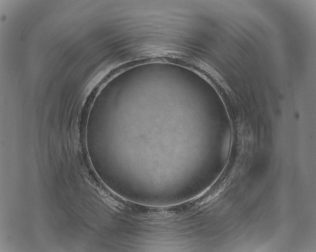 X0000074941023200609011110