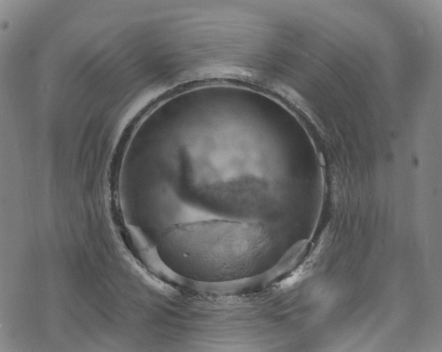 X0000074941024200609011110