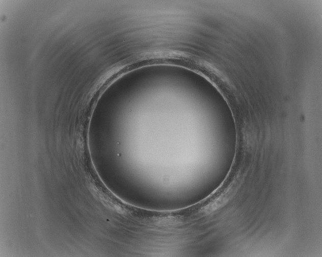 X0000074941025200609011110