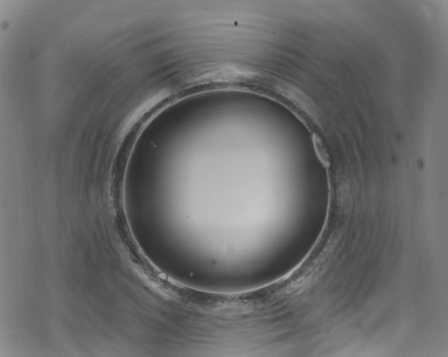 X0000074941026200609011110