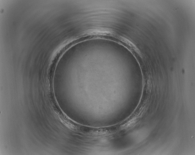 X0000074941027200609011110