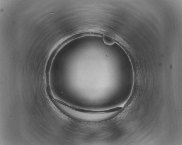 X0000074941028200609011110