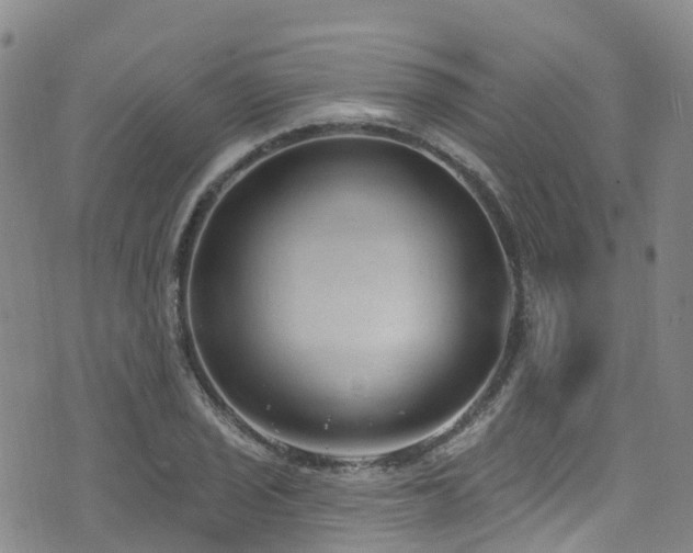 X0000074941029200609011110