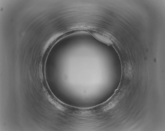 X0000074941030200609011110