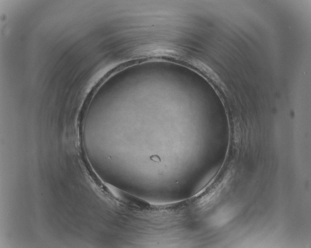 X0000074941031200609011110